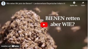 Read more about the article BIENEN retten aber WIE?